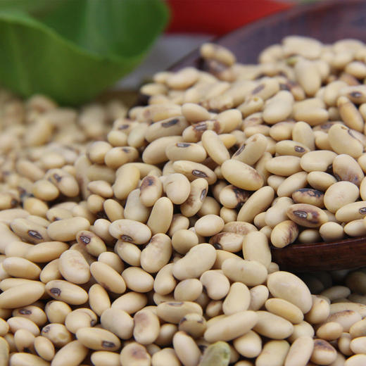 【陕北农家老黄豆】豆香浓郁,营养丰富/砖块5*500g