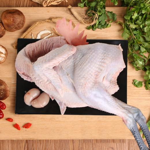 苏禽黄公鸡【鲜品】毛重4.7斤杀后3.3-3.5斤左右/只