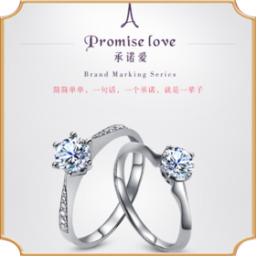 埃菲尔印记婚戒18K白金钻石戒指求婚1克拉30分女承诺爱Ⅱ