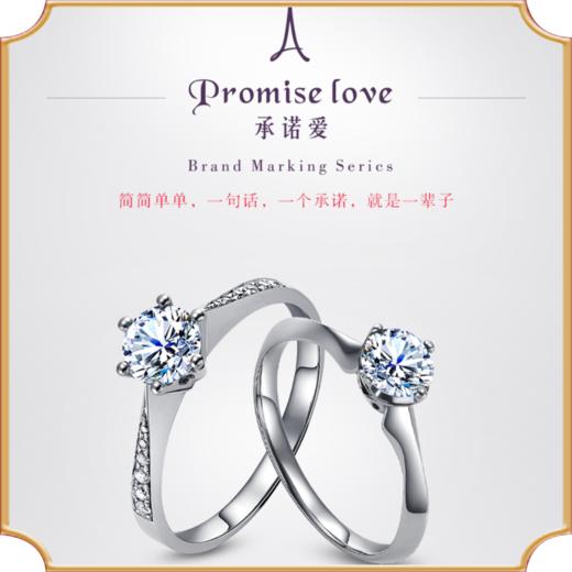 埃菲尔印记婚戒18K白金钻石戒指求婚1克拉30分女承诺爱Ⅱ 商品图0