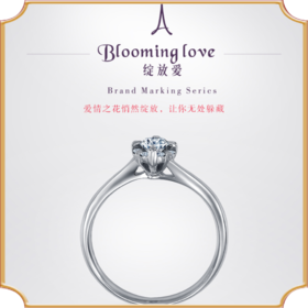埃菲尔印记婚戒18K金钻石戒指1克拉求结婚戒指正品绽放爱Ⅱ
