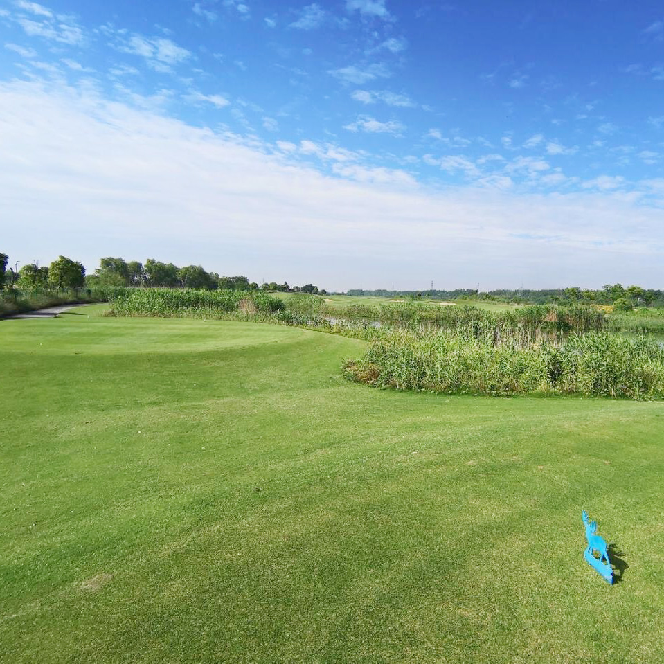 江苏泰州华侨城云海湿地高尔夫俱乐部 Taizhou OCT Golf Club | 泰州高尔夫球场 | 江苏高尔夫球场  |  中国