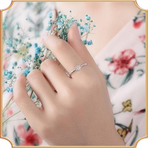 埃菲尔印记婚戒 18K白金钻石戒指1克拉求结婚戒指憧憬爱Ⅵ 商品图2