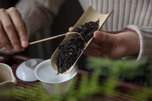 『乌龙茶』武夷雀舌 商品图0