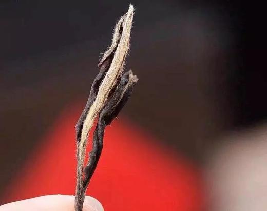 不正常气候下的白茶初制方法 商品图0