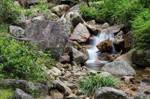 武夷山名片之桐木关 商品图0