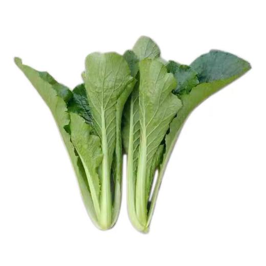 【城·食配】小白菜   约300克/把 商品图1