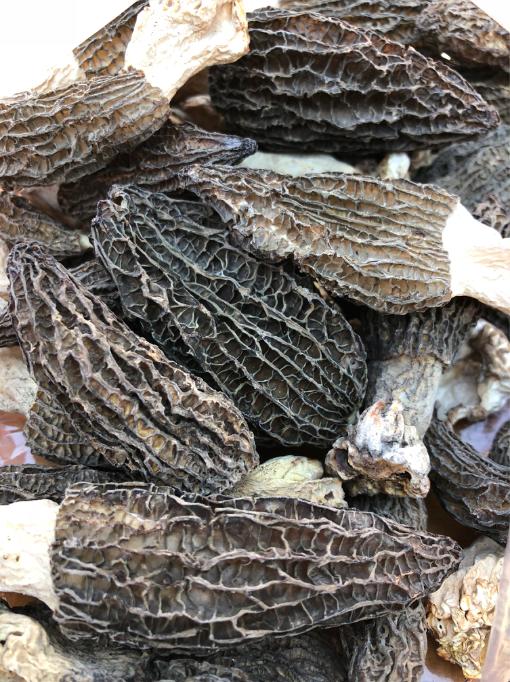 【团购特惠】云南干羊肚菌，菌类干货，精致礼盒装，瓶装50g，最新日期 商品图4