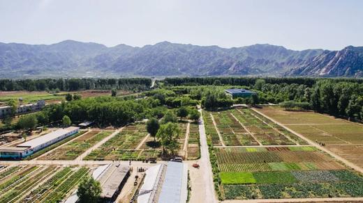 2020年小毛驴市民农园租地种菜开始招募啦（商品拍下后，请及时联系农场确认18611987220） 商品图1