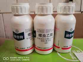果树蚜虫梨木虱防治药剂：德国拜耳腾倍特240克/升螺虫乙酯悬浮剂（同亩旺特）