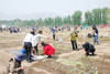 2020年小毛驴市民农园租地种菜开始招募啦（商品拍下后，请及时联系农场确认18611987220） 商品缩略图2