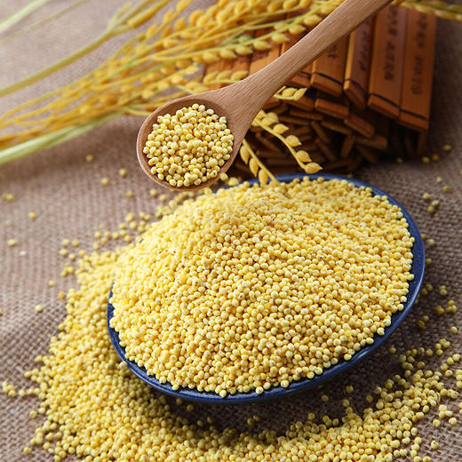 【寒地黑土】东北大黄米950g 黍米 黄黏米 粽子米 粗粮杂粮 大米伴侣 商品图0