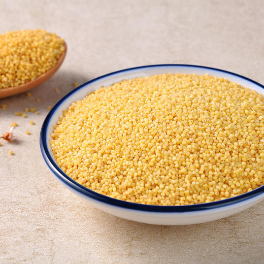 【寒地黑土】东北农家小米490g 小黄米 月子米 小米粥 五谷杂粮 商品图2