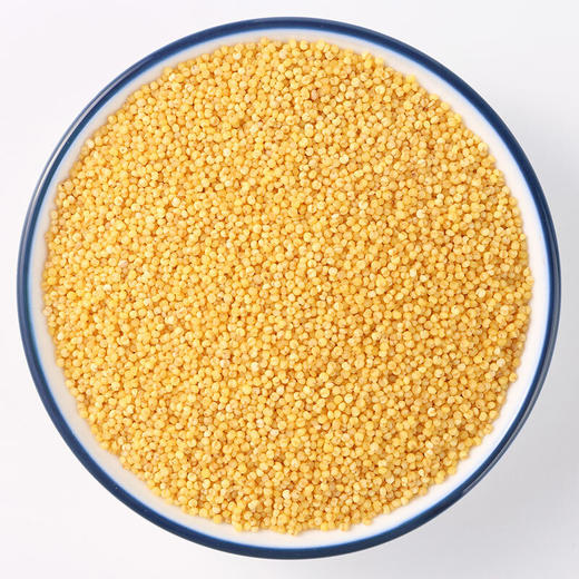 【寒地黑土】东北农家小米490g 小黄米 月子米 小米粥 五谷杂粮 商品图1