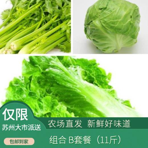 惠健  蔬菜组合A/B套餐可选（次日发） 商品图1