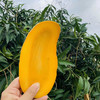树上熟精品水果·海南金煌芒 甜度加倍 果肉顺滑  商品缩略图3