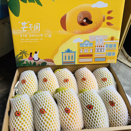 树上熟精品水果·海南金煌芒 甜度加倍 果肉顺滑  商品图8