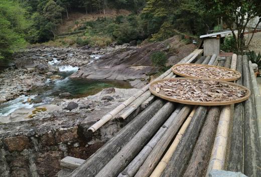 [视频]武夷山内鬼洞介绍 商品图0