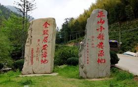 武夷山桐木关红茶之品种分类