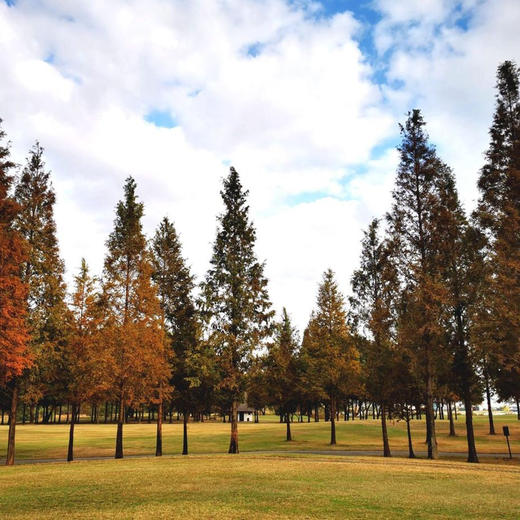 昆山·上海光明高尔夫俱乐部 Kunshan Shanghai Guangming Golf Club | 昆山高尔夫球场 | 江苏高尔夫球场  |  中国 商品图2