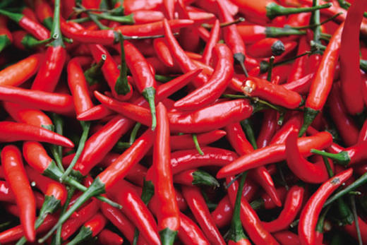 【百汇到家】小米椒 商品图0