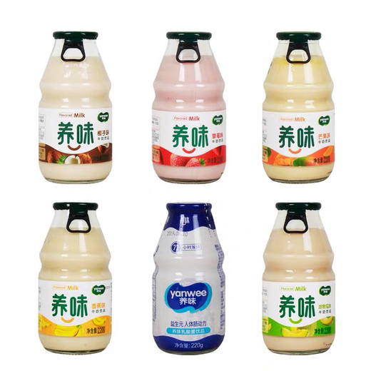 养味乳酸菌牛奶饮料220g