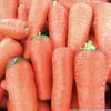 萝卜红每公斤 商品缩略图0