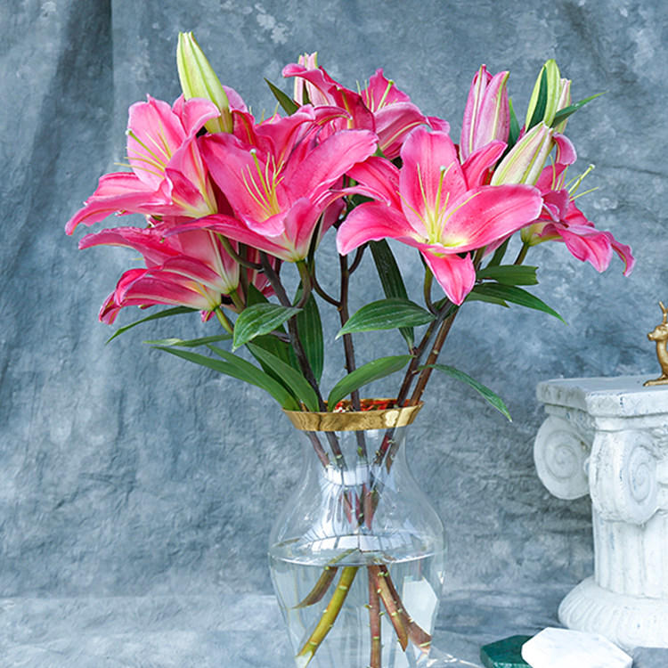 百合花 好看耐养的百合花 红 粉 白 黄多色可选 百合具有百年好合美好家庭