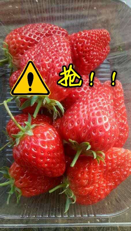 特价小草莓（同城）20元3斤