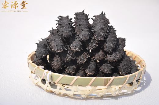 睿源堂·棒棰岛淡干海参250g（40-60头） 商品图3