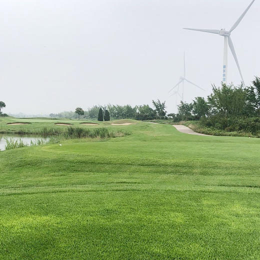 盐城射阳海滨国际高尔夫俱乐部Yancheng Sheyang Coast Golf Club | 盐城高尔夫球场 | 江苏高尔夫球场  |  中国 商品图4