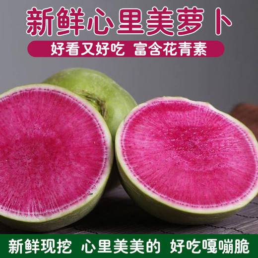 新鲜心里美萝卜满堂红萝卜绿皮红心胭脂山东潍坊水果青萝卜胡萝卜 心里美萝卜5斤 商品图3