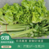 润绿生态园-蔬菜组合（芹菜+生菜）  共5斤装（次日发） 商品缩略图0