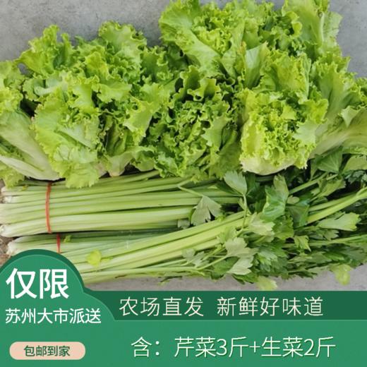 润绿生态园-蔬菜组合（芹菜+生菜）  共5斤装（次日发） 商品图0