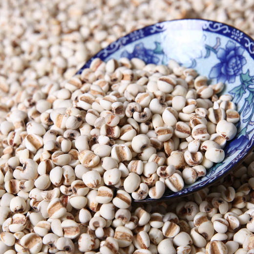 西双版纳新鲜薏米仁薏仁米 五谷杂粮500g/袋 - 云南吉顺号