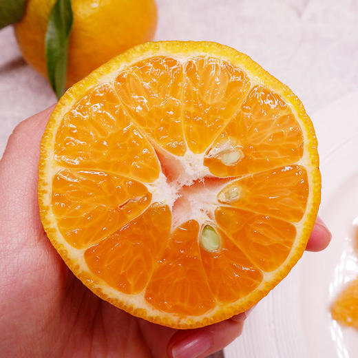 湖北清江椪柑 一口爆汁 好吃不上火 坚持自然成熟 不催熟不打蜡 商品图2