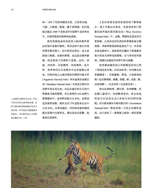 世界野生猫科动物，以通俗的文字讲述世界上现存40种野生猫科动物的生活 科普 商品图7