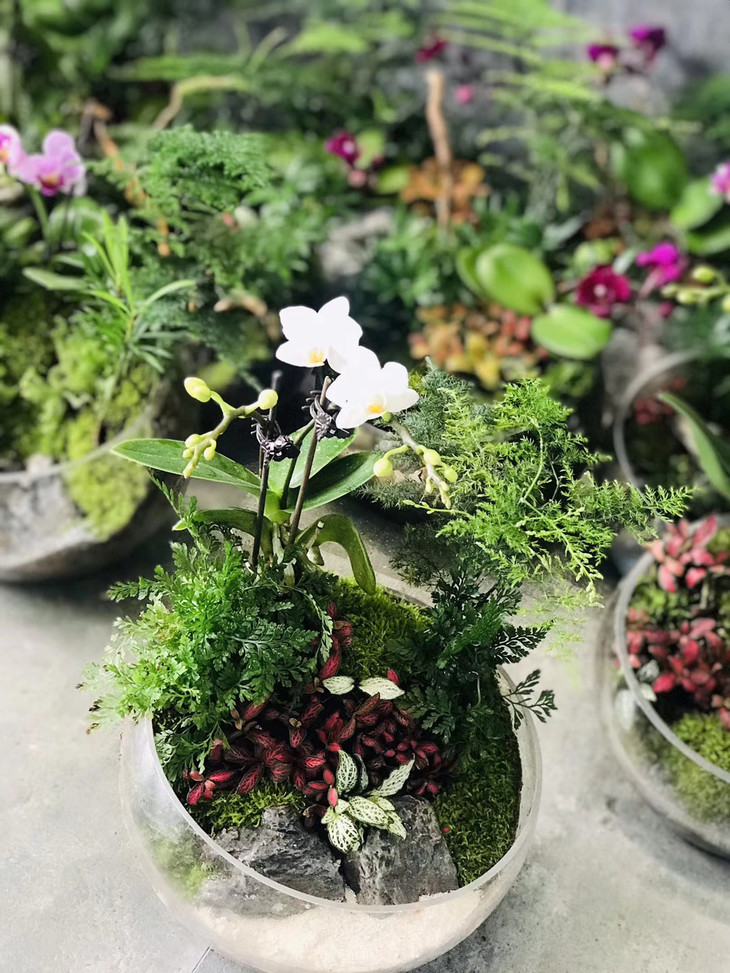 精致现代风玻璃盆景