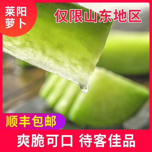团购-海蓝食刻山东水果萝卜5斤 商品图2