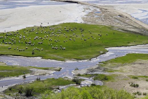 “买肉涨肉”小羊第四季 | THE BANK OF SHEEP 商品图6