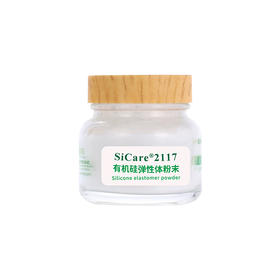 SiCare®2117 有机硅弹性体粉末•高吸油值（样品）