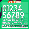 SFS 2019-2021赛季英超联赛球员版印号 胶质 个性定制 Avery 商品缩略图0