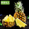 【云南·香水菠萝】 酸甜多汁 果香浓郁 肉质脆嫩 营养美味 商品缩略图2