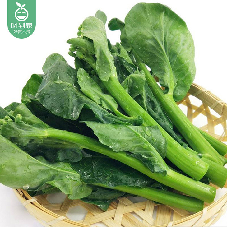 宁夏新鲜广东芥兰/1份(300g-350g)