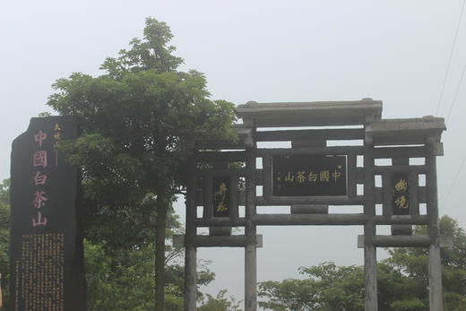 福鼎白茶与太姥山 商品图0