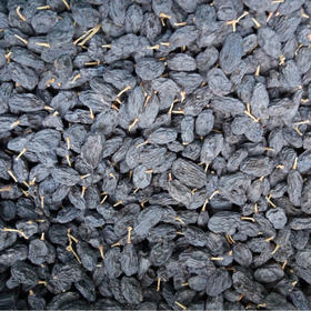 无籽黑葡萄干 500g·sp