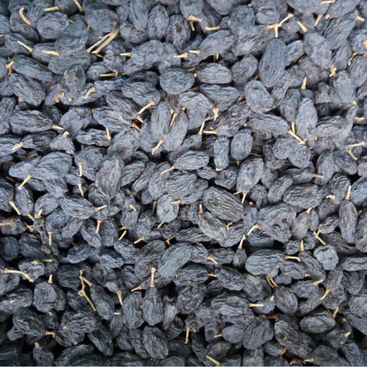 无籽黑葡萄干 500g·sp 商品图0