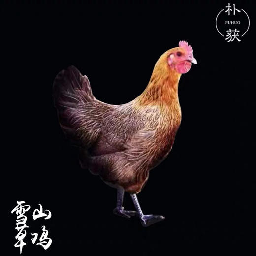 雪山草鸡2只套装（1公1母）（商家配送下单48小时后发）立华牧业 商品图1