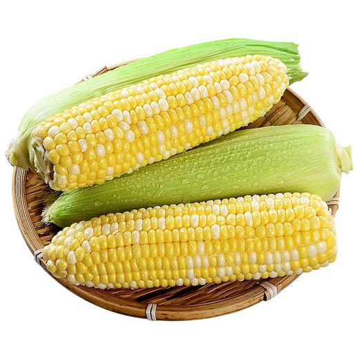 云南水果玉米 5-10斤装 无公害玉米棒 可生吃 头甜牛奶玉米 须带皮苞 新鲜蔬菜 商品图0