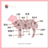 “买肉涨肉”小羊第四季 | THE BANK OF SHEEP 商品缩略图8